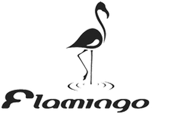 logo-flaminfo